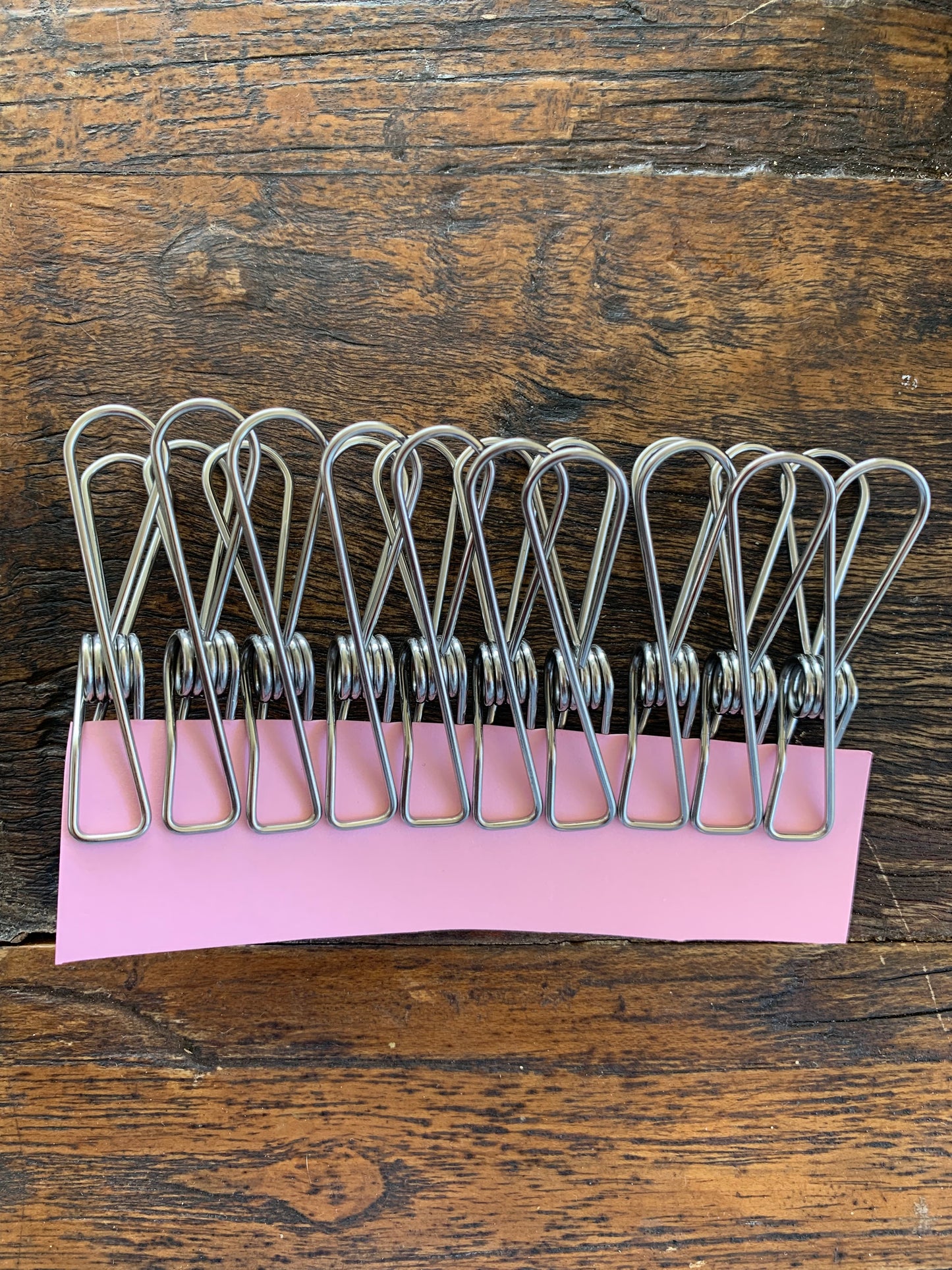 Stainless Steel clothes pegs - pack of 10