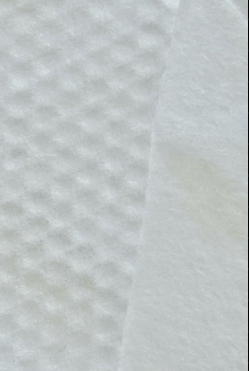GG Hair Cleansing Wipes