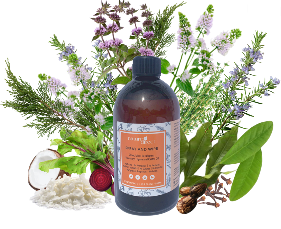 Nature Direct - Spray and Wipe Concentrate 500ml