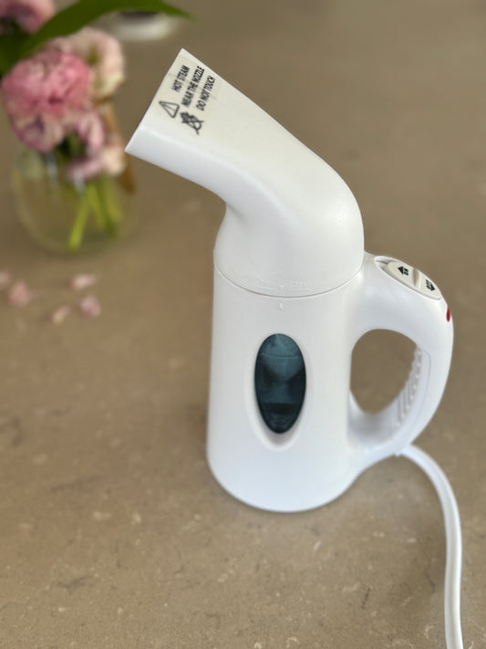 Powerful Portable Steamer
