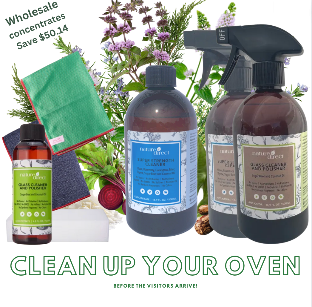 December Cleaning special