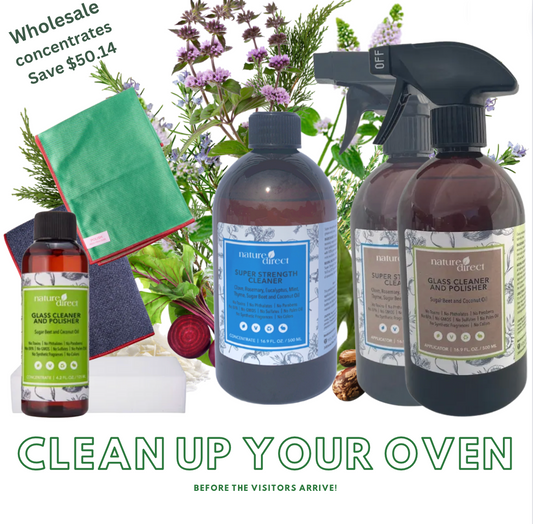 December Cleaning special